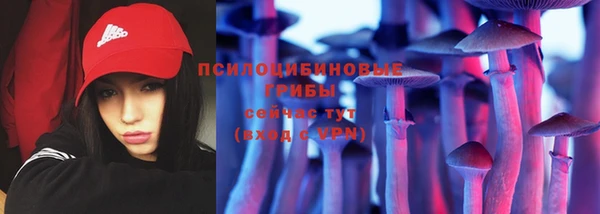 дживик Наволоки