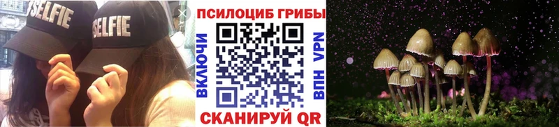 Галлюциногенные грибы Psilocybe  магазин    Нариманов 